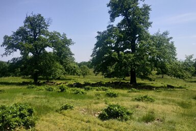 Facebook/Bükki Nemzeti Park Igazgatóság
