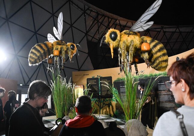 Érdeklődők a szerdán megnyílt Planet Budapest Fenntarthatósági Expo nyitónapján a Magyar Vasúttörténeti Parkban