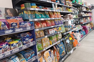 Kazinczy Paszterkó Diana