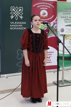 Jégtörő Mátyás-napi újbor verseny Bácsfeketehegyen