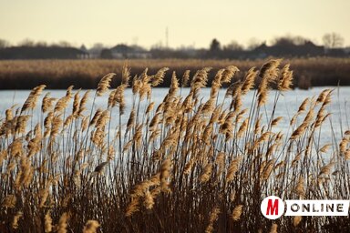 Molnár Edvárd felvétele