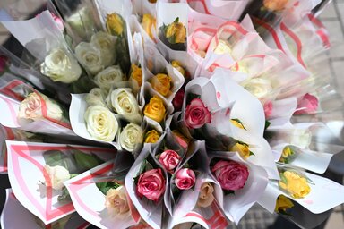 Fotó: Molnár Edvárd