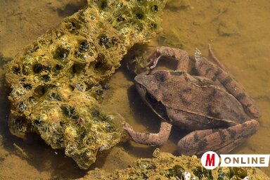 Gergely József felvétele