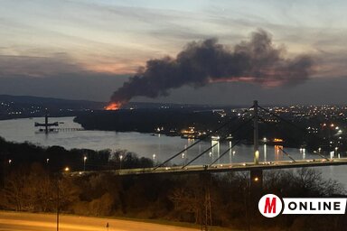 Feltehetően a nád és az aljnövényzet ég a területen (Fotó: Magyar Szó Online)