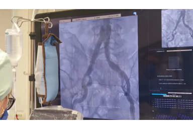 PrintScreen / Vajdasági RTV / YouTube