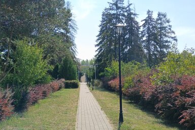 Az Erdőtelepítők parkját 1969-ben nyilvánították közparkká (Szomszédok a szomszédokért/Facebook)