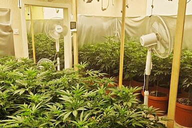 A rendőrség két személyt tartóztatott le (Fotó: MUP Srbije)