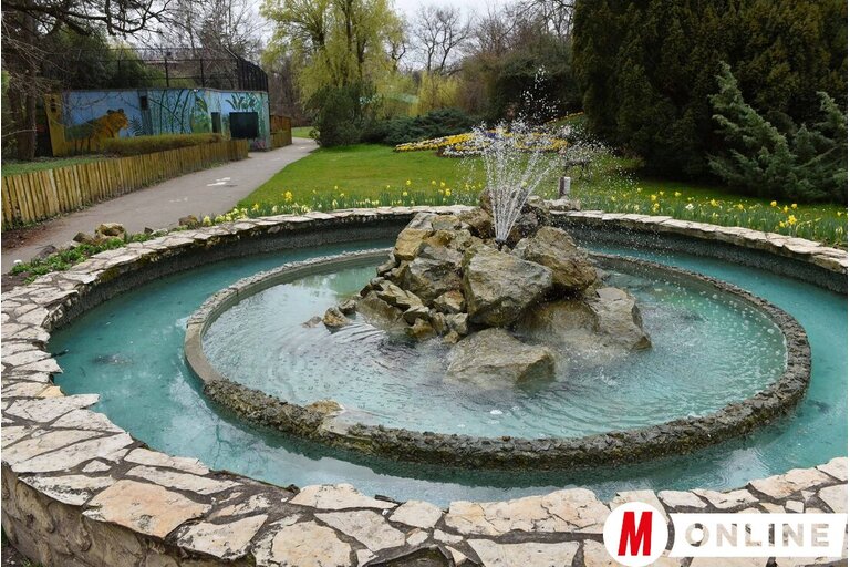 A Palicsi Állatkert/Molnár Edvárd archív felvétele