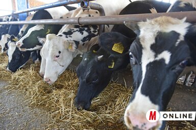 Ótos András felvétele