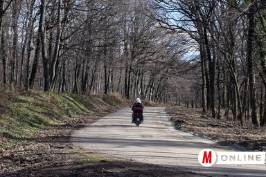Azt mondják, hogy a természet nem ismer határokat – de ha az ember határokat húz, akkor azt a természet is megérzi (Fotó: Ótos András felvétele)