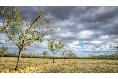 Pixabay