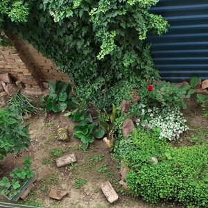 Mókus Klára felvétele