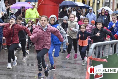 Az Újvidéki Félmaratont 33. alkalommal fogják megtartani (Fotó: Dávid Csilla illusztrációja)