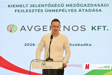 A magyar külgazdasági és külügyminiszter hangsúlyozta, hogy a közelgő választás nem csak Magyarország, hanem Ukrajna számára is nemzeti sorskérdés (Fotó: Molnár Edvárd felvétele)