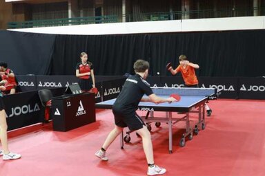 Több mint 250 versenyző érkezett 26 országból a WTT Youth Contender tornára (Fotó: Grad Novi Sad)