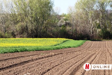 Tóth Péter felvétele