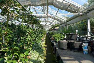 Illusztráció (Pixabay)