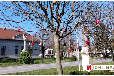 Az utóbbi években a templom közelében a fákat festett tojásokkal díszítik Kishegyesen (Tóth Péter felvétele)