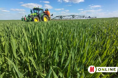 Kevés helyen kell permetezni a búzát (Fotó: Paraczky László)