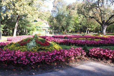 Amikor a park virágba borul, lenyűgöző látványt nyújt (Fotó: Facebook)