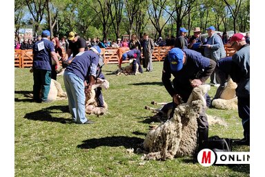 Horváth Zsolt felvétele