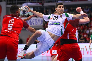 Fazekas Gergő csatája a szerb–magyar mérkőzésen (Fotó: MTI)