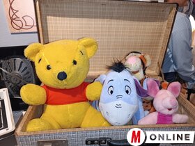 Mackók nyomában Topolya Község Múzeumában