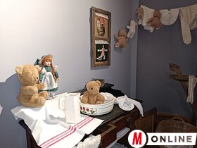 Mackók nyomában Topolya Község Múzeumában