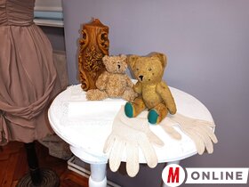 Mackók nyomában Topolya Község Múzeumában