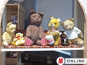 Mackók nyomában Topolya Község Múzeumában
