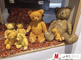 Mackók nyomában Topolya Község Múzeumában