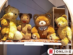 Mackók nyomában Topolya Község Múzeumában