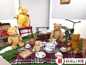 Mackók nyomában Topolya Község Múzeumában