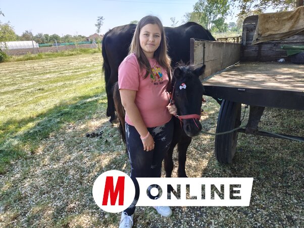 A 12 éves Gombos Lara is elhozta a pónilovát megmutatni