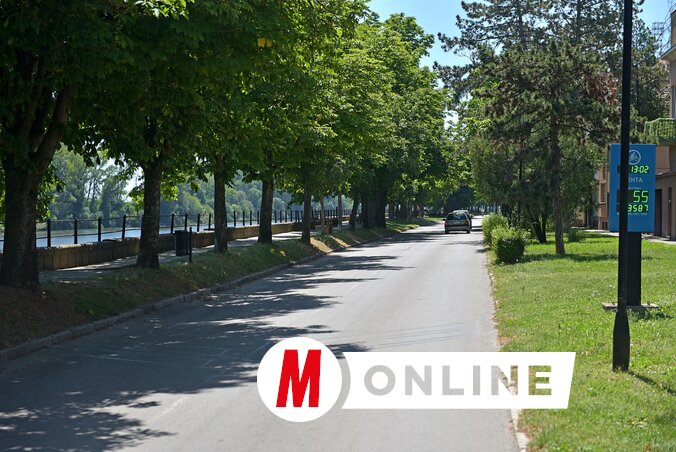 A gesztenyefákkal szegélyezett Tisza-parton is végigfut a mezőny ( Gergely Árpád felvétele)