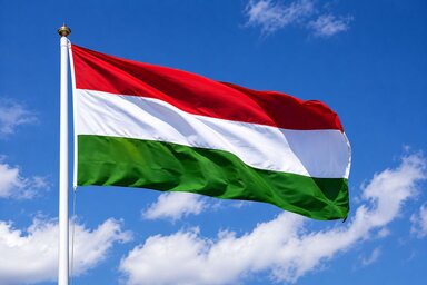 A VMSZ elnöke elítélte a magyar zászló meggyalázását (Fotó: Dr. Pásztor Bálint/Facebook)