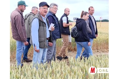 A termelők érdeklődve nézték a tesztföldeket (Fotó: Vidács Hajnalka)
