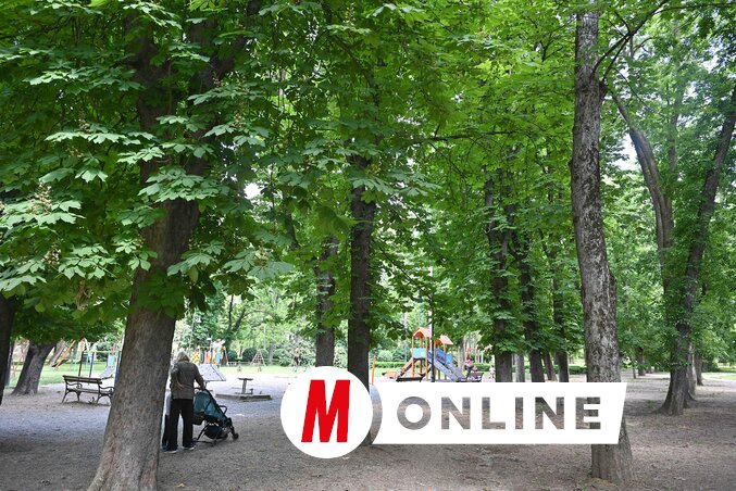 A gyerekeknek játszóteret alakítottak ki a parkban (Fotó: Kecskés István felvétele)