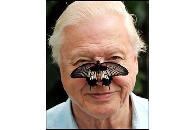 Facebook/Sir David Attenborough
