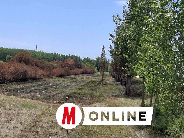 Tíz év munkája veszett oda néhány perc alatt (Fotó: Vidács Hajnalka felvétele)