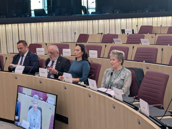 Kovács Elvira az EP stabilizációs és társulási egyezmény végrehajtásával foglalkozó parlamenti vegyes bizottság ülésén, Strasbourgban (Kovács Elvira/Facebook)