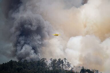 A tűz oltásában négy kanadai vízszállító repülőgép (Canadair) is részt vesz (Fotó: Pexels.com)