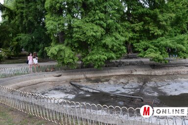 A Duna-park tavának tisztítása során elpusztult halakról készült felvételek jelentős visszhangot váltottak ki Újvidéken (Fotó: Dávid Csilla felvétele)