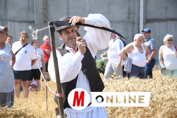 A búza vágása előtt jól meg kell fenni a kaszát/Paraczky László felvétele