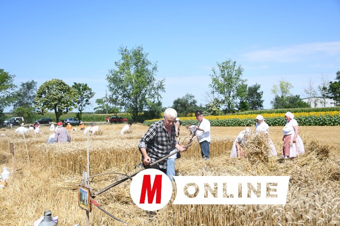 Munkában a völgyparti Szélmalom csapata/Paraczky László felvétele