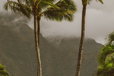 Illusztráció - Pexels.com