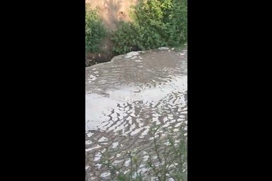 A nyílt levélben a Krivaja folyó szennyezettségére és szennyezésére hívják fel a figyelmet, célravezető, illetve konkrét lépéseket követelve (Fotó: Képernyőfelvétel)