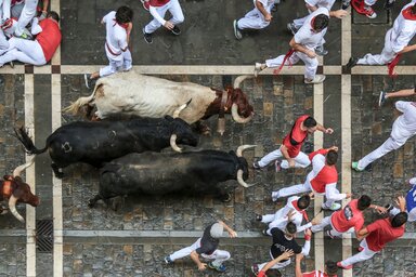 Minden reggel hat, átlagosan 600 kilogram súlyú harci bikát terelnek végig a keskeny utcákon (Fotó: Pexels.com)