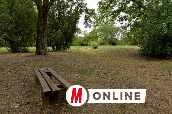 A parkban sok pihenőhelyet alakítottak ki, azonban az eltelt idő és a felelőtlen használat meglátszik rajtuk