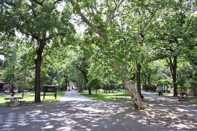 A park a város forgalmas helyén fekszik (Molnár Edvárd felvétele)
